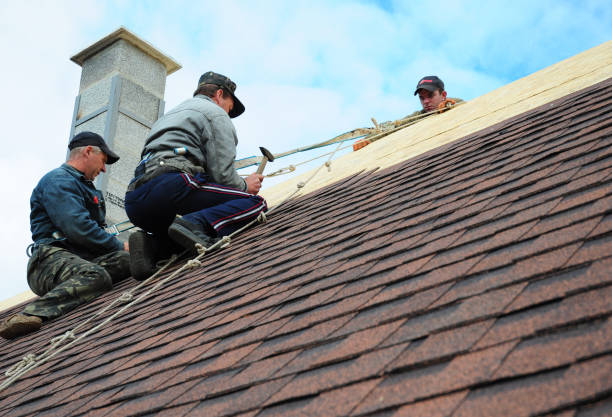 Best Roof Repair Services  in Warsaw, IN